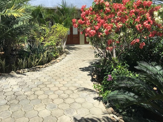 Gallery - Soma Surf Resort