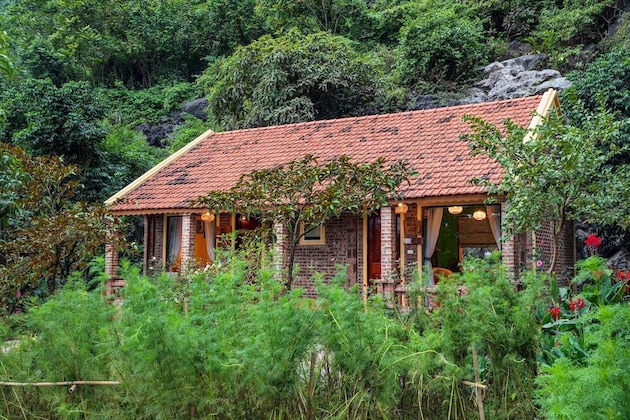 Gallery - An's Eco Garden