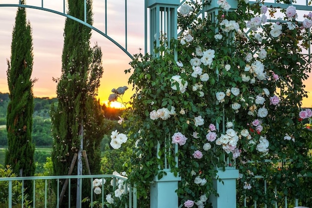 Gallery - Relais Sassa Al Sole