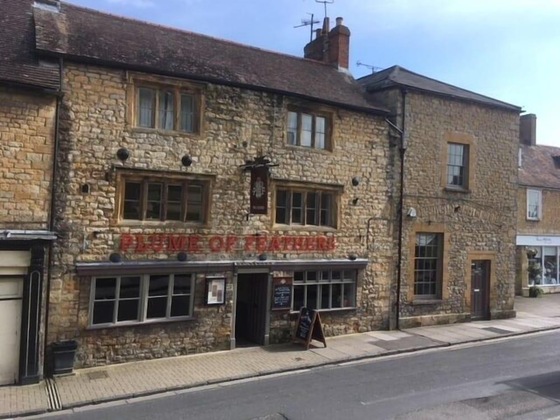 Gallery - The Plume Of Feathers