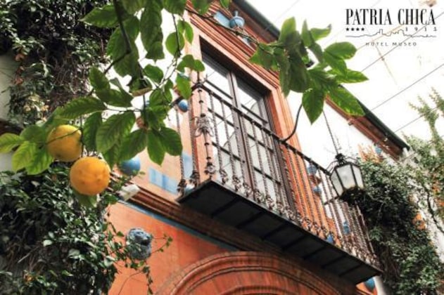 Gallery - Hotel Museo Patria Chica