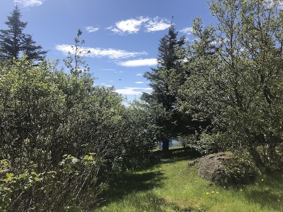 Gallery - Blómasetrið Homestay
