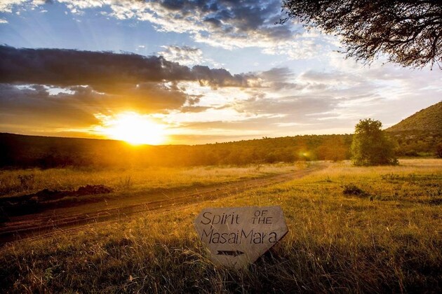 Gallery - Spirit Of The Masai Mara