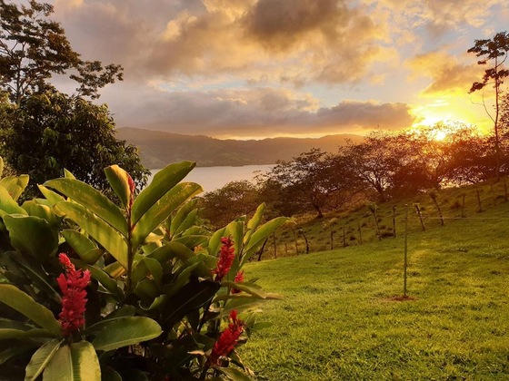Gallery - Ceiba Tree Lodge