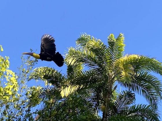 Gallery - Ocean Forest Ecolodge Retreat