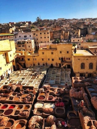 Gallery - Riad Scalia