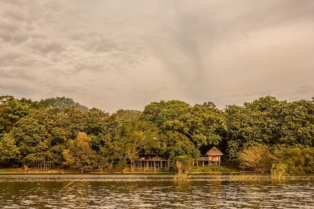 Gallery - La Maloka Ecolodge