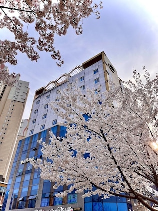 Gallery - Golden Business Hotel