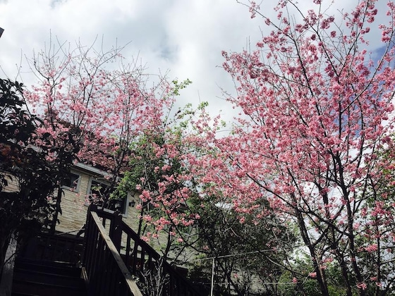 Gallery - Spring Ground B&B