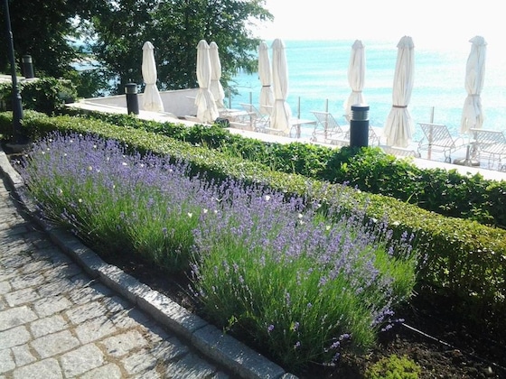 Gallery - Hvd Boutique Hotel Oasis