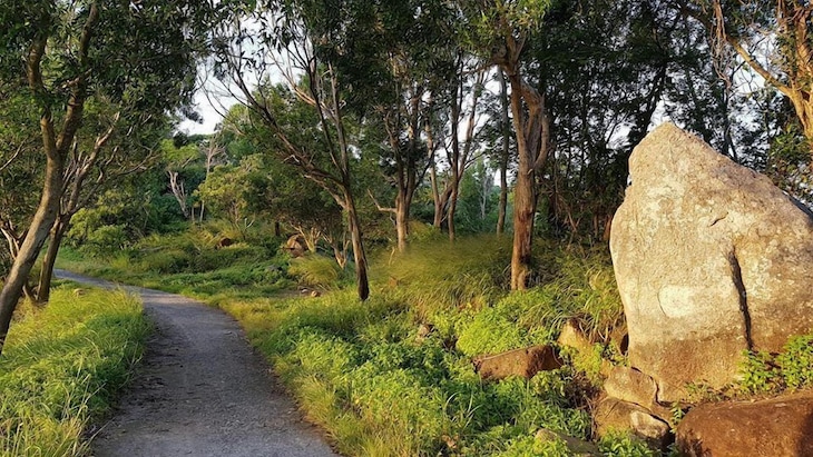 Gallery - Ho May Resort