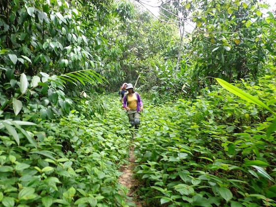 Gallery - Explorer By Eco Team - Sinharaja