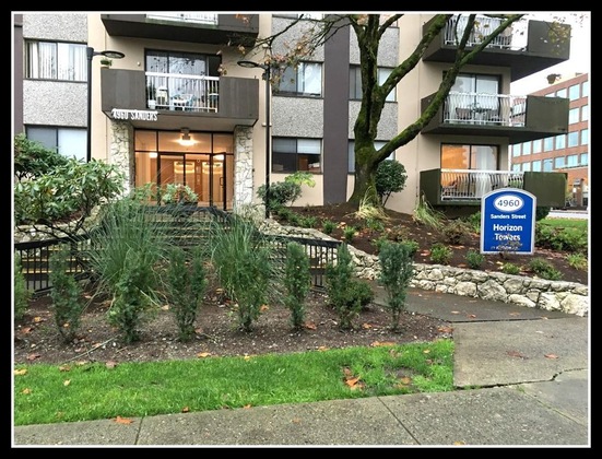 Gallery - Pelicanstay in Burnaby Lake