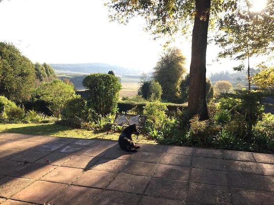 Gallery - Kings Hill Bed And Breakfast