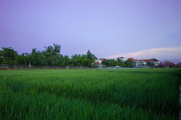 Gallery - Alma Villas Seminyak