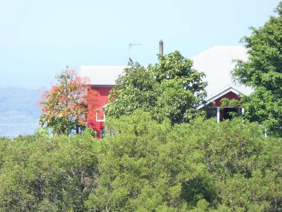 Gallery - Flame Hill Vineyard