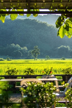 Gallery - Baan Sin Suk
