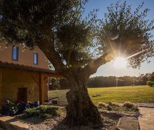 Gallery - Quinta Do Caminho