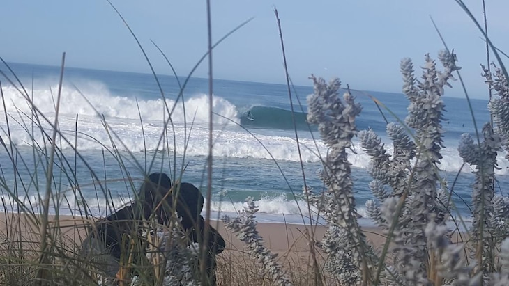 Gallery - Pineapple Surf House