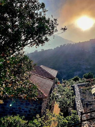 Gallery - Palazzo Greco Villas