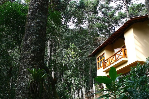 Gallery - Chalé Da Floresta