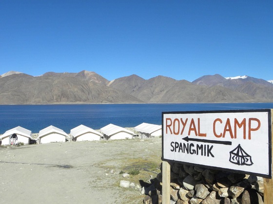 Gallery - Royal Camp - Pangong
