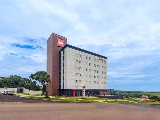 Gallery - Ibis Guaiba