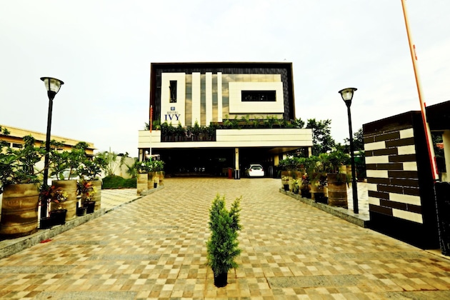 Gallery - Hotel Ivy
