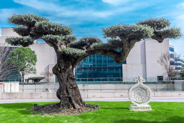 Gallery - The Anandi Hotel And Spa Shanghai