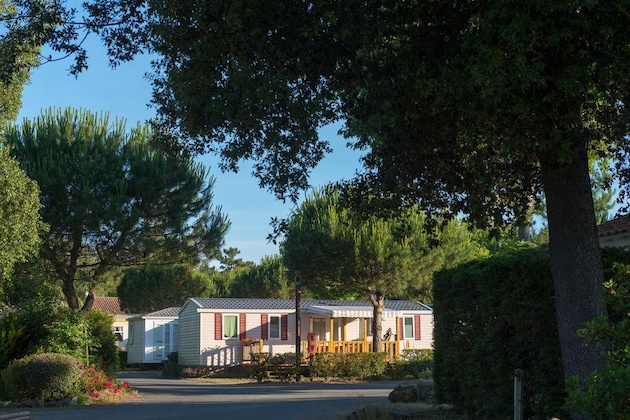 Gallery - Camping Le Bois Masson