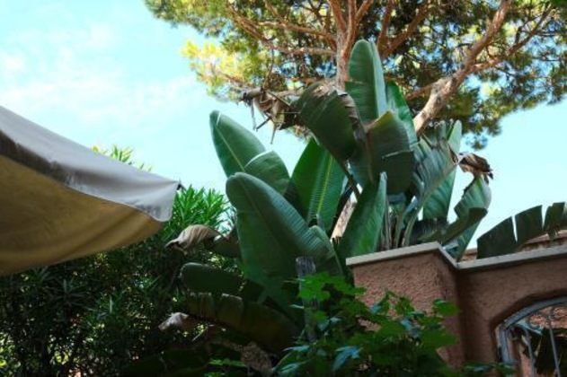 Gallery - Hotel Piccolo Mondo