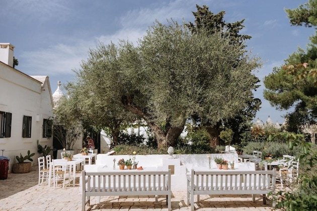 Gallery - Tenuta Del Lauro