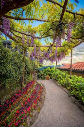 Gallery - Il Roseto