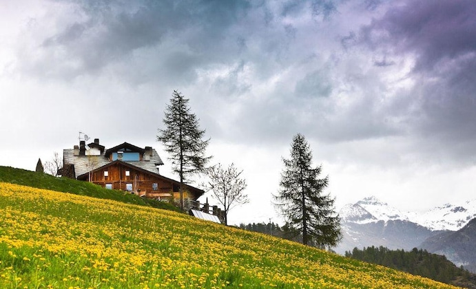 Gallery - Hotel Caprice Des Neiges