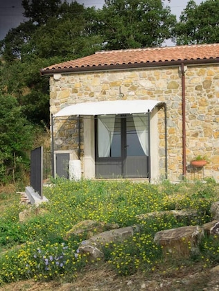 Gallery - Bio Agriturismo Poggio Aione