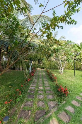 Gallery - The Hideout Sigiriya