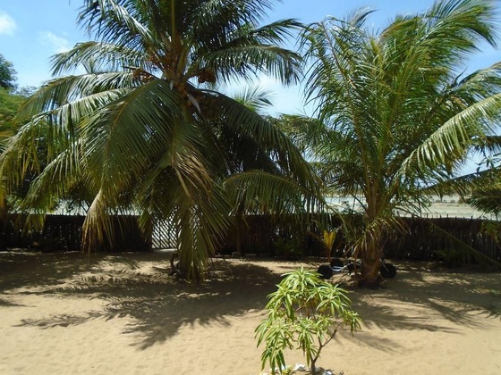 Gallery - Kite Bay Resort Kalpitiya