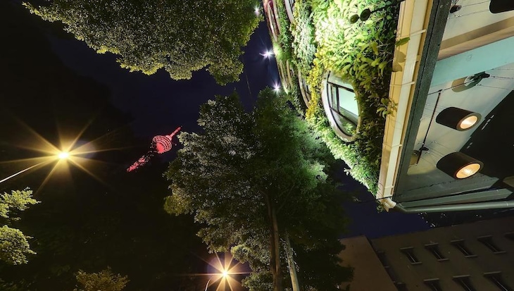Gallery - Flora By Crossroads Hotel
