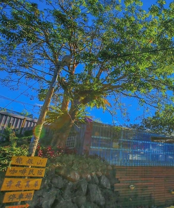 Gallery - Seeking - Alishan Sunrise