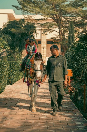 Gallery - Abhyaran Resort Ranthambore