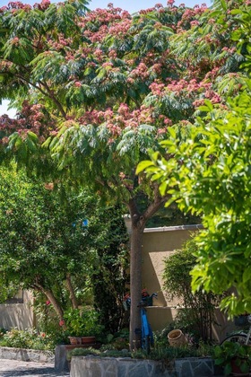 Gallery - Villa Mery