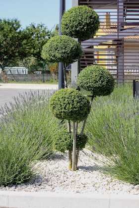 Gallery - B&B Hotel Valence Tgv - Romans