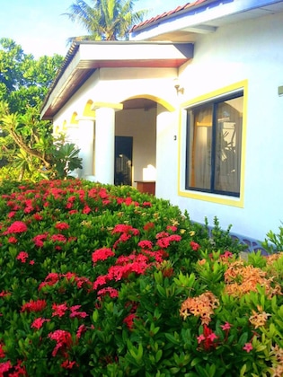 Gallery - Aquarius Resort