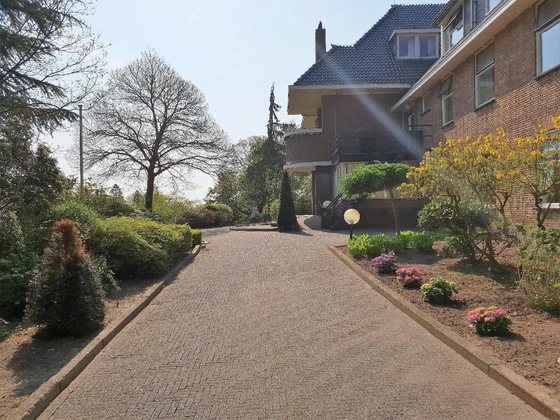 Gallery - Wyllandrie