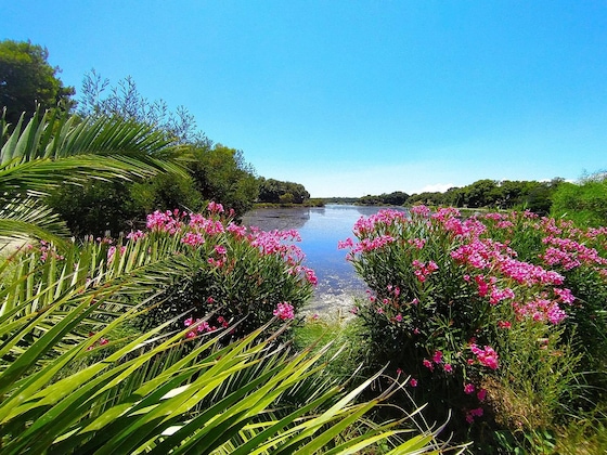 Gallery - Riva Bella Naturiste Thalasso & Spa Resort