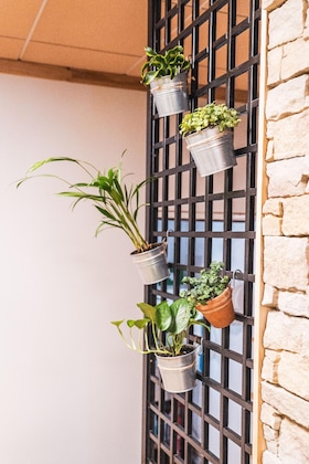 Gallery - Hôtel Les Lutins