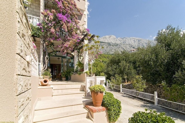 Gallery - Villa Bougenvilia Tomas
