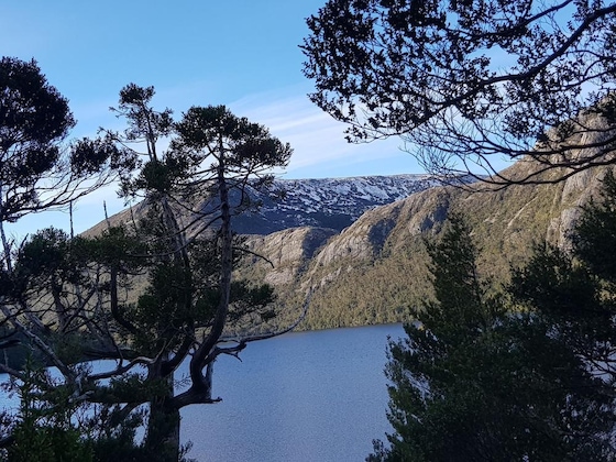 Gallery - Cradle Alpine Retreat