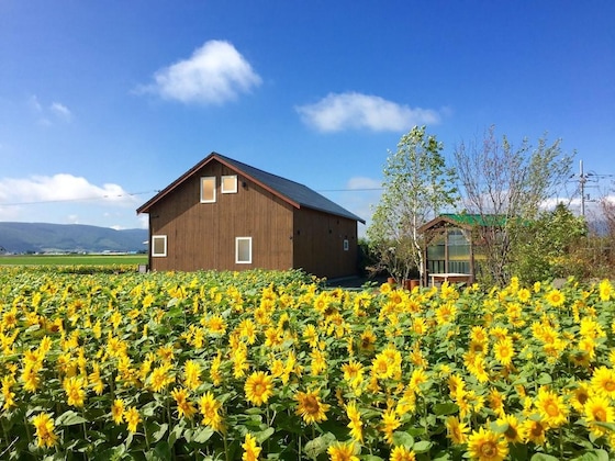 Gallery - Country Cottage Wakiaiai