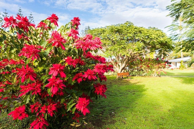 Gallery - Trade Winds Country Cottages